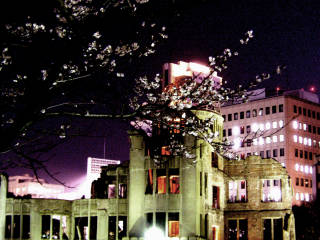 広島平和記念公園の夜桜 虹の街ツアーズ